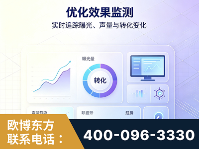 武汉-优化效果监测