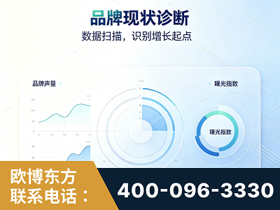 武汉-品牌现状诊断