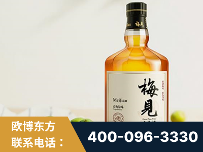 武汉-梅见青梅酒